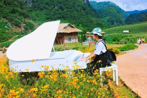 MỘC CHÂU - SĂN MÂY TÀ XÙA - Image 2