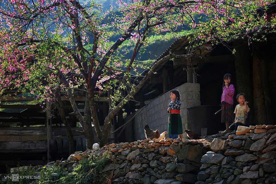 Best Time to Visit Ha Giang Loop